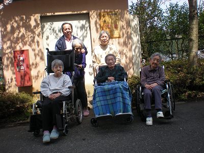お花見ドライブ(日の出紫苑)
