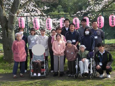 お花見ドライブ(日の出紫苑)